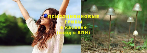 мдпв Богородицк