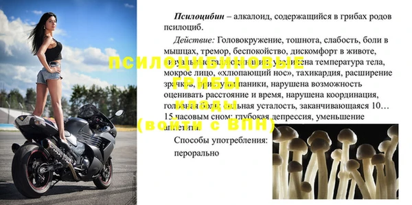 бошки Протвино
