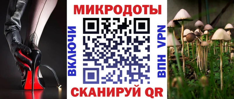 купить  цена  Дагестанские Огни  Галлюциногенные грибы мицелий 